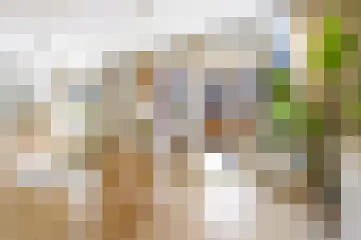 Marcantilaan 439 Amsterdam thumbnail 11