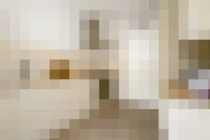 Marcantilaan 439 Amsterdam thumbnail 12