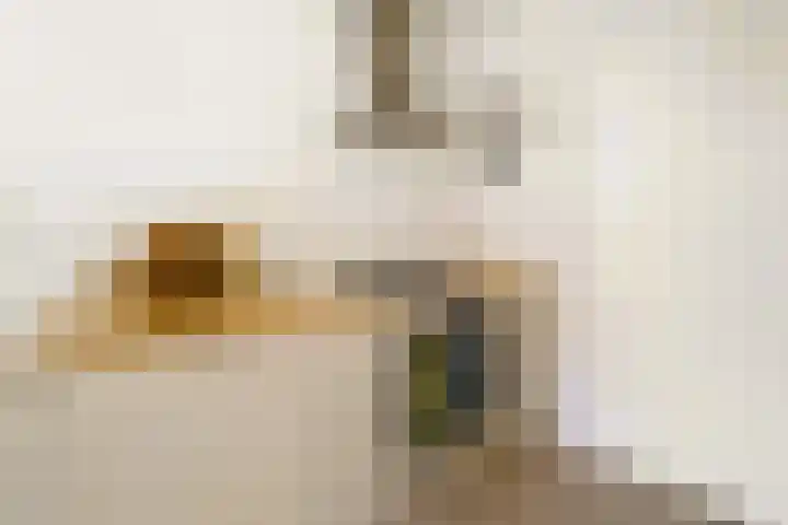 Marcantilaan 439 Amsterdam thumbnail 13