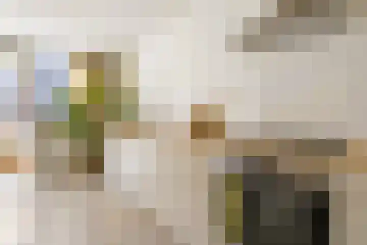 Marcantilaan 439 Amsterdam thumbnail 14
