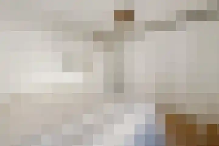 Marcantilaan 439 Amsterdam thumbnail 18