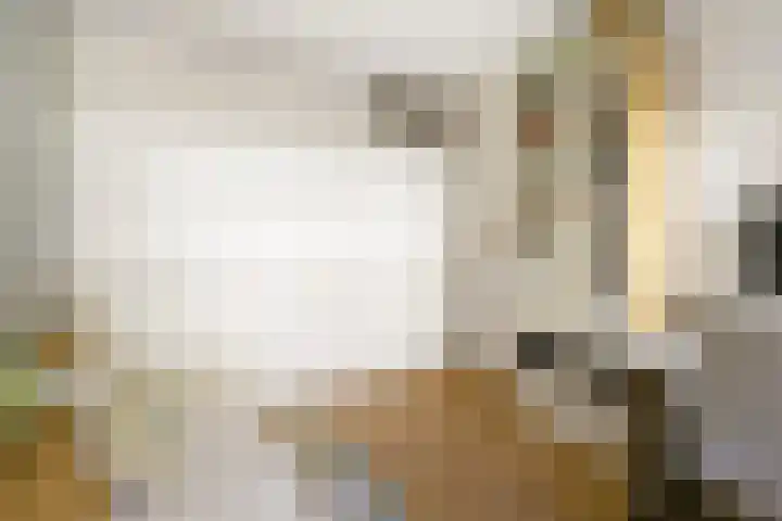 Marcantilaan 439 Amsterdam thumbnail 21