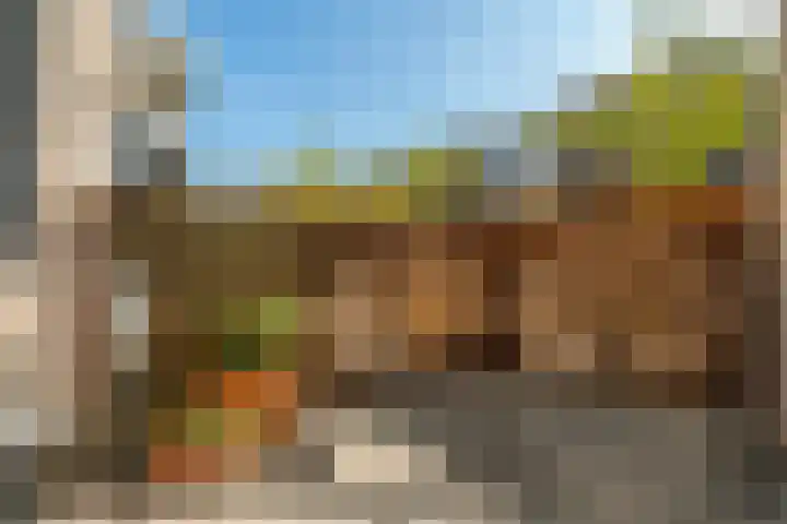 Marcantilaan 439 Amsterdam thumbnail 25
