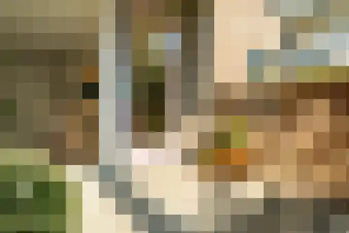 Marcantilaan 439 Amsterdam thumbnail 26