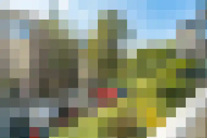 Marcantilaan 439 Amsterdam thumbnail 27