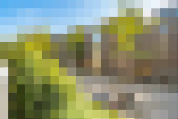 Marcantilaan 439 Amsterdam thumbnail 29
