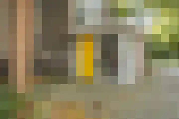 Marcantilaan 439 Amsterdam thumbnail 30