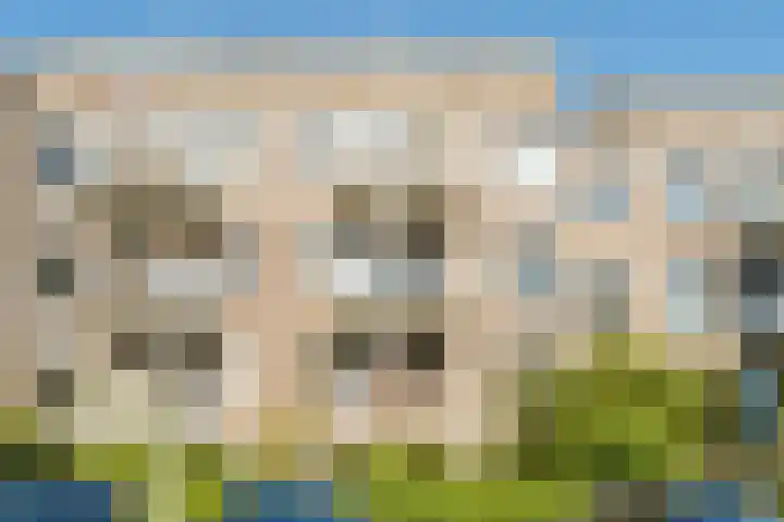 Marcantilaan 439 Amsterdam thumbnail 31