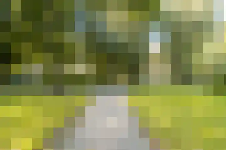 Marcantilaan 439 Amsterdam thumbnail 34