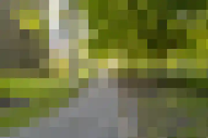 Marcantilaan 439 Amsterdam thumbnail 35