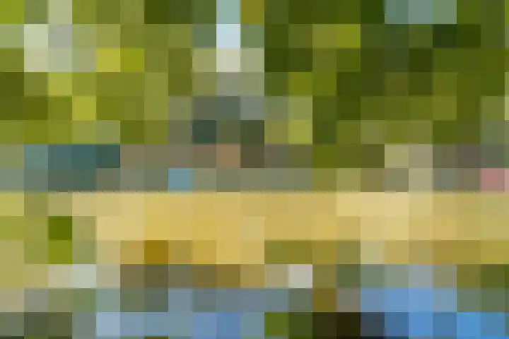 Marcantilaan 439 Amsterdam thumbnail 36
