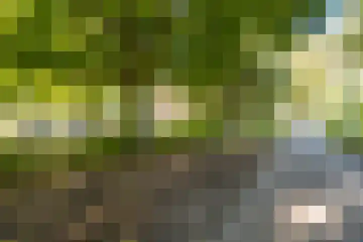 Marcantilaan 439 Amsterdam thumbnail 37