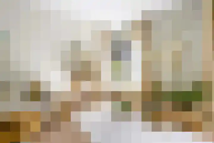 Marcantilaan 439 Amsterdam thumbnail 4