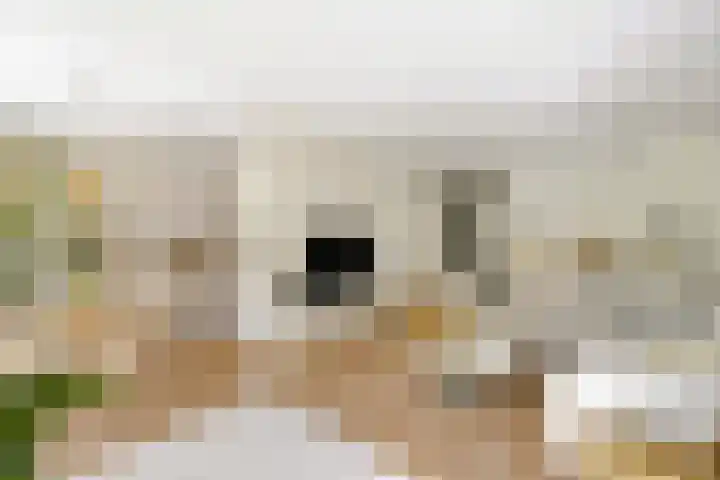 Marcantilaan 439 Amsterdam thumbnail 6