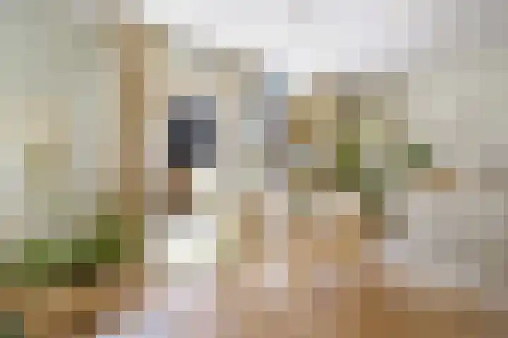 Marcantilaan 439 Amsterdam thumbnail 8