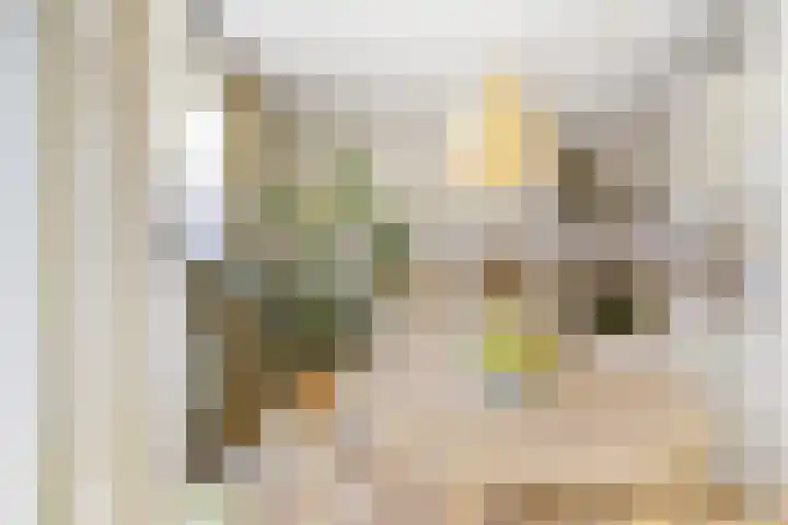 Marcantilaan 439 Amsterdam thumbnail 9