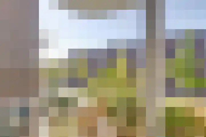 Marcantilaan 65 Amsterdam thumbnail 20