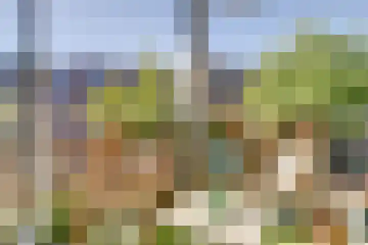 Marcantilaan 65 Amsterdam thumbnail 21