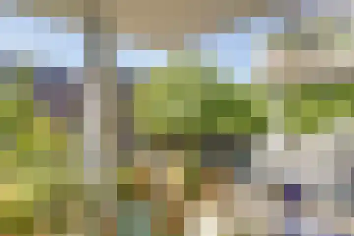 Marcantilaan 65 Amsterdam thumbnail 22