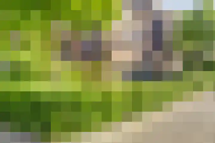 Marcantilaan 65 Amsterdam thumbnail 27