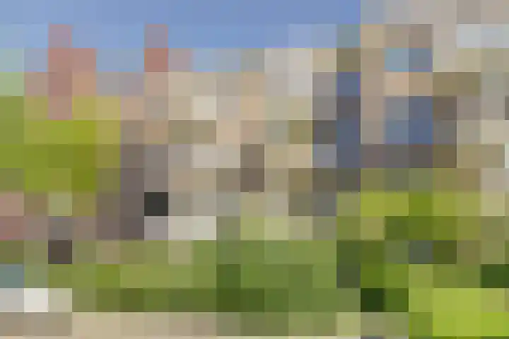 Marcantilaan 65 Amsterdam thumbnail 28