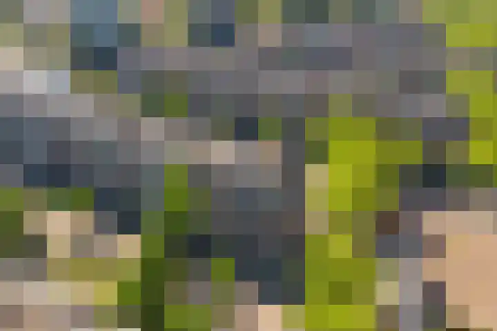 Marcantilaan 65 Amsterdam thumbnail 29