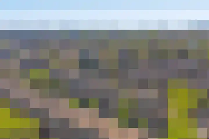 Marcantilaan 65 Amsterdam thumbnail 30