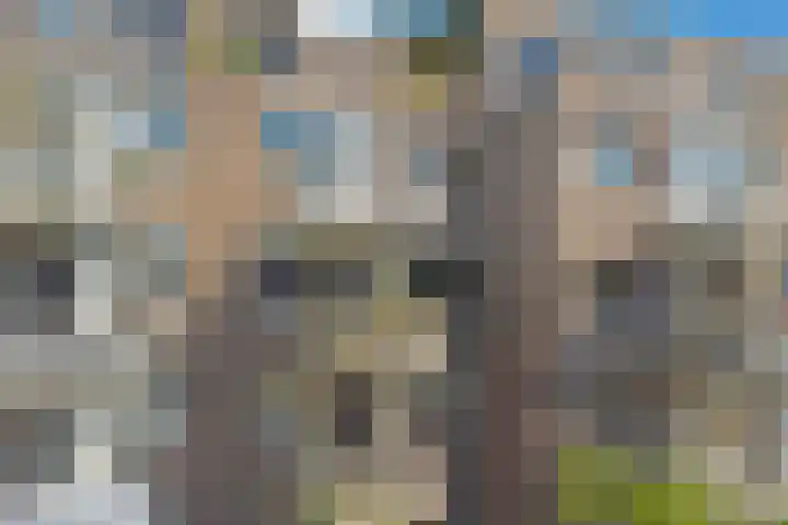 Marcantilaan 65 Amsterdam thumbnail 31