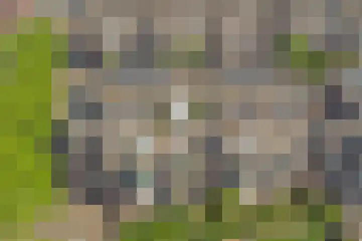 Marcantilaan 65 Amsterdam thumbnail 32