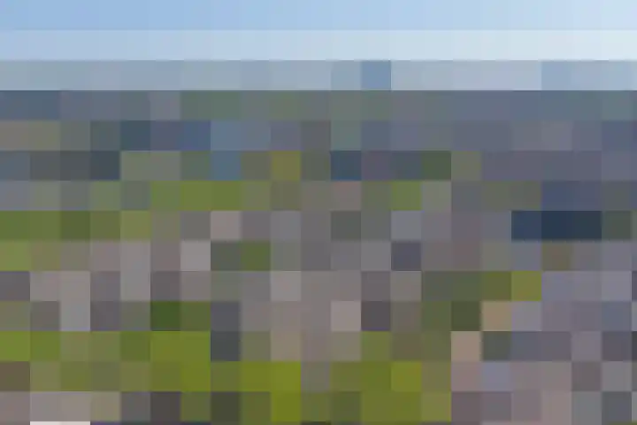 Marcantilaan 65 Amsterdam thumbnail 33