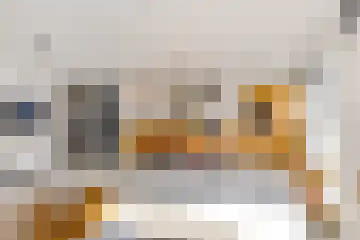 Marcantilaan 8 Amsterdam thumbnail 10