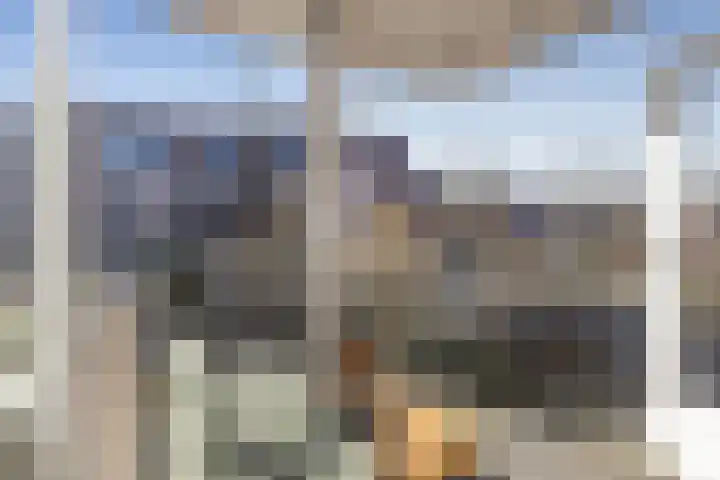 Marcantilaan 8 Amsterdam thumbnail 12