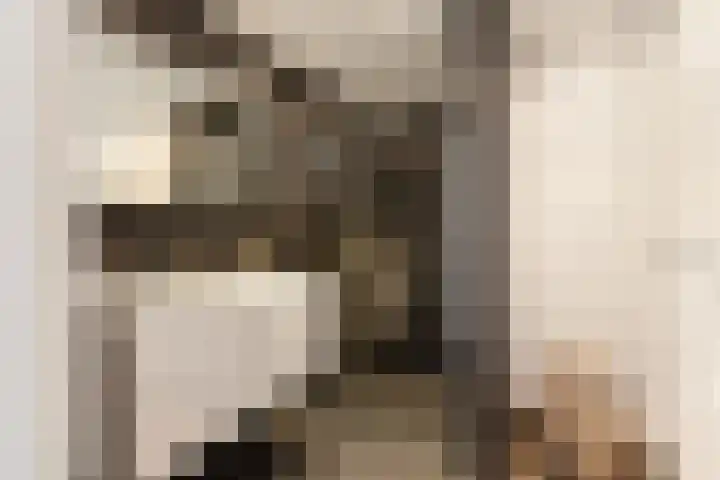 Marcantilaan 8 Amsterdam thumbnail 17
