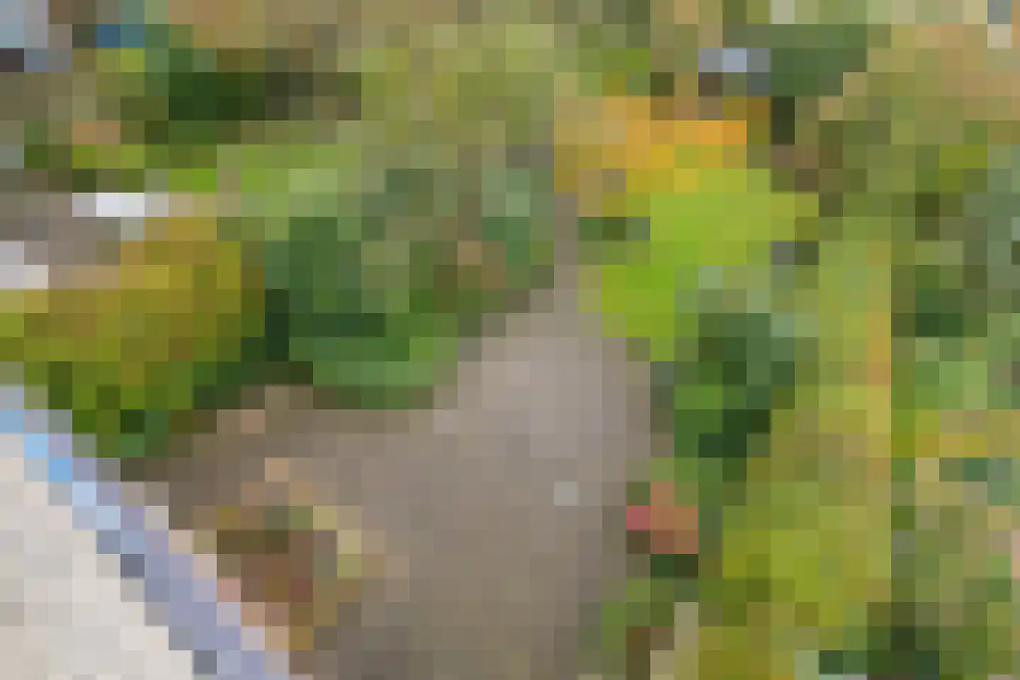 Marcel Breuererf 5 Amersfoort thumbnail 39