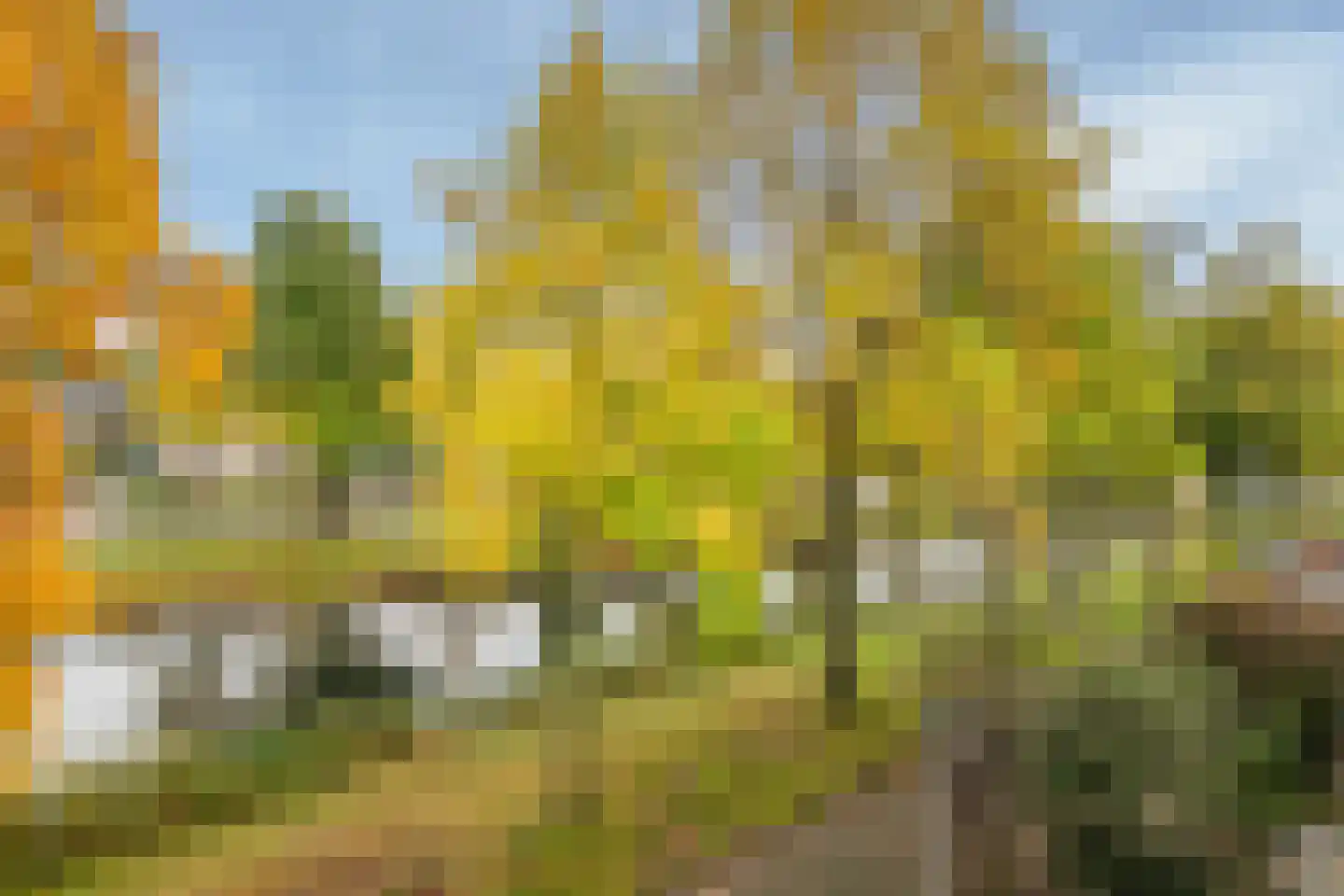 Marcel Breuererf 5 Amersfoort thumbnail 50