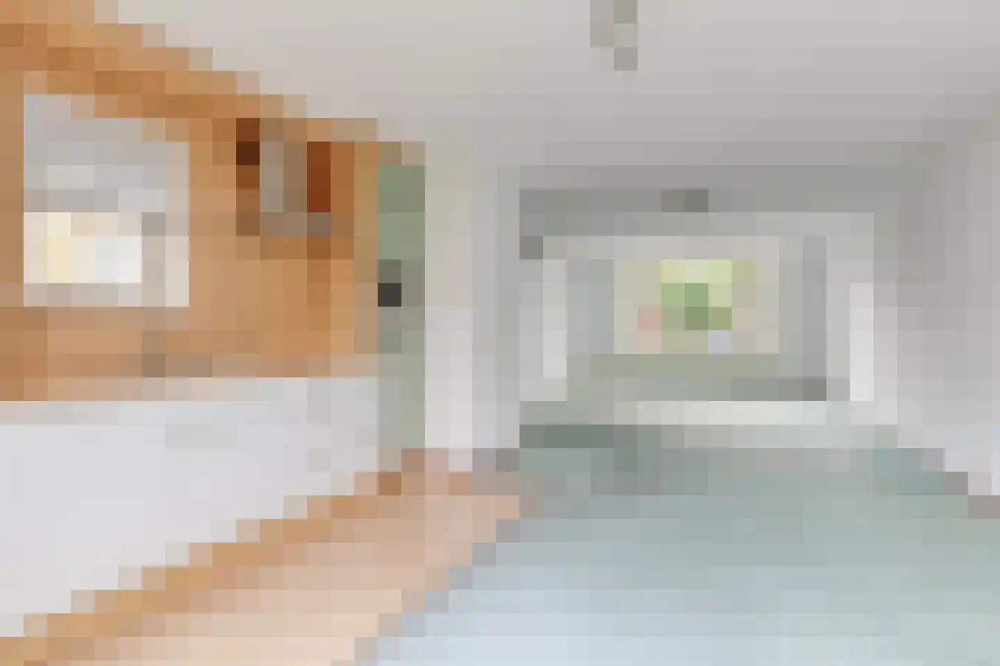 Marcel Proustlaan 9 Eindhoven thumbnail 10