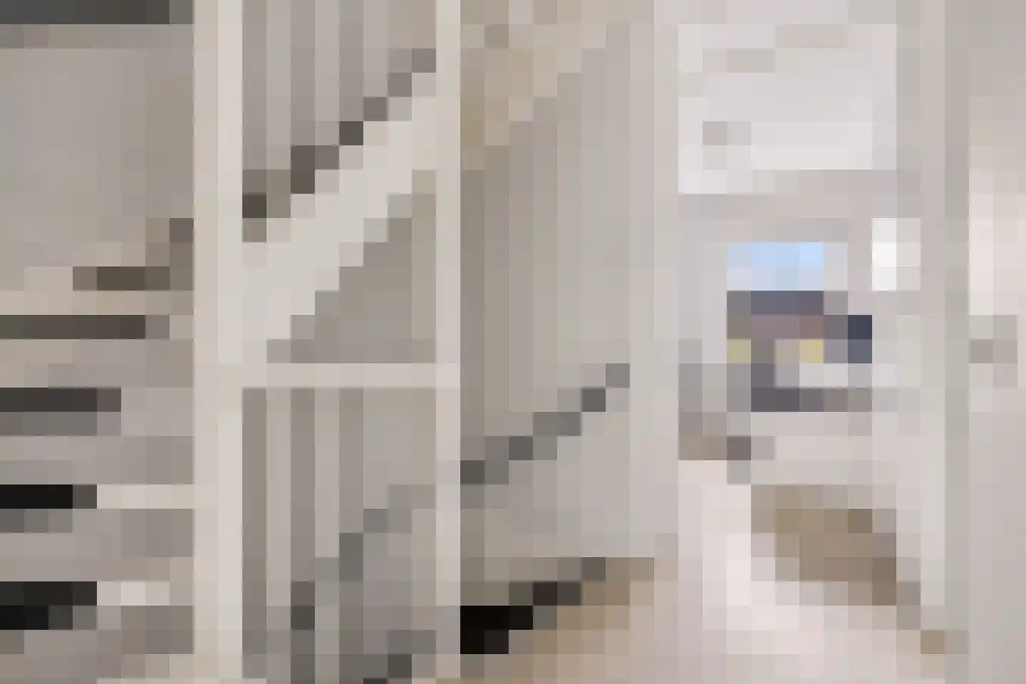 Marcelis Keldermanshof 7 Hoef en Haag thumbnail 24