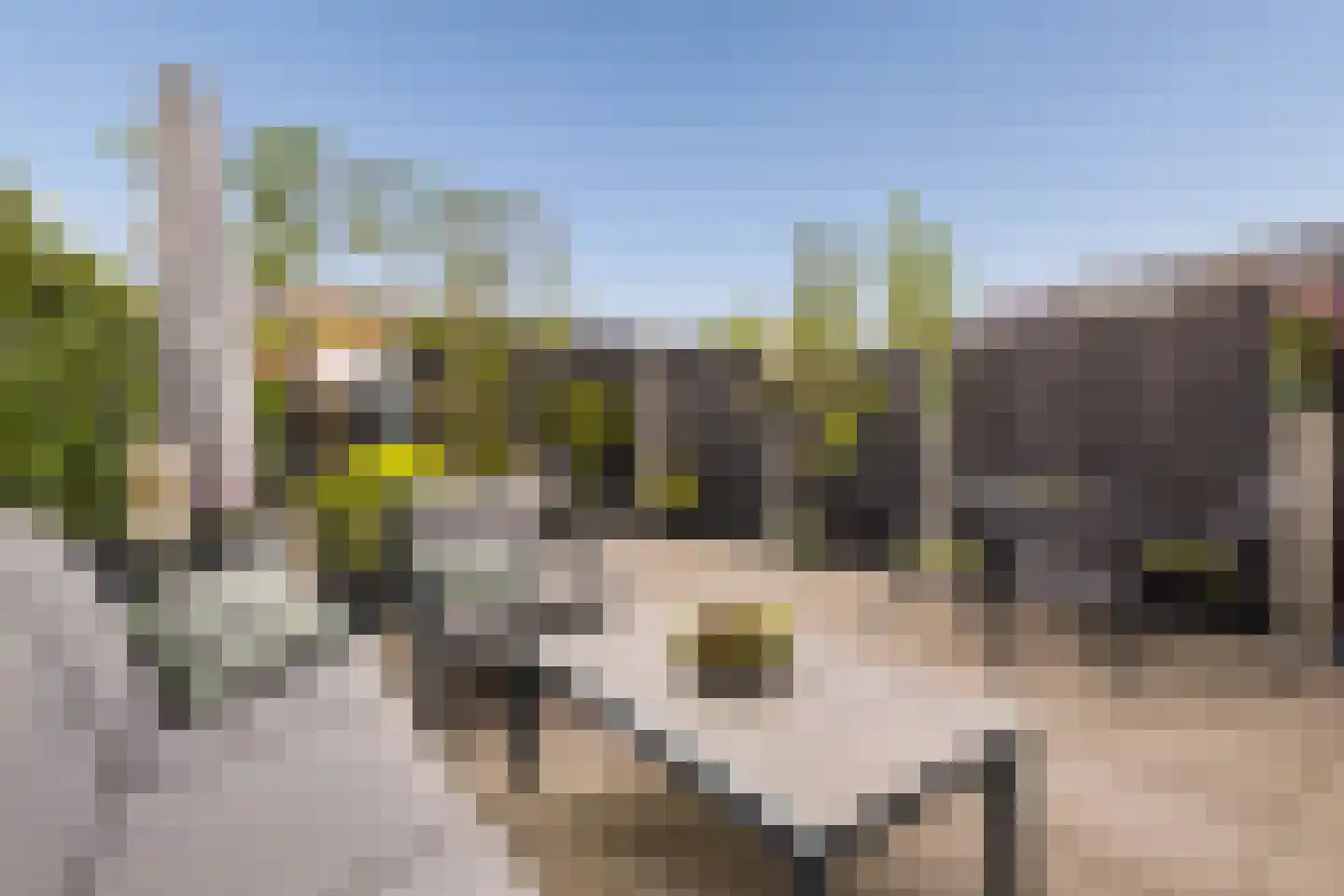Marcelis Keldermanshof 7 Hoef en Haag thumbnail 41