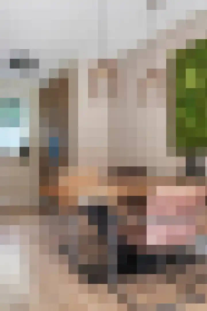 Marcelis Keldermanshof 8 Hoef en Haag thumbnail 11