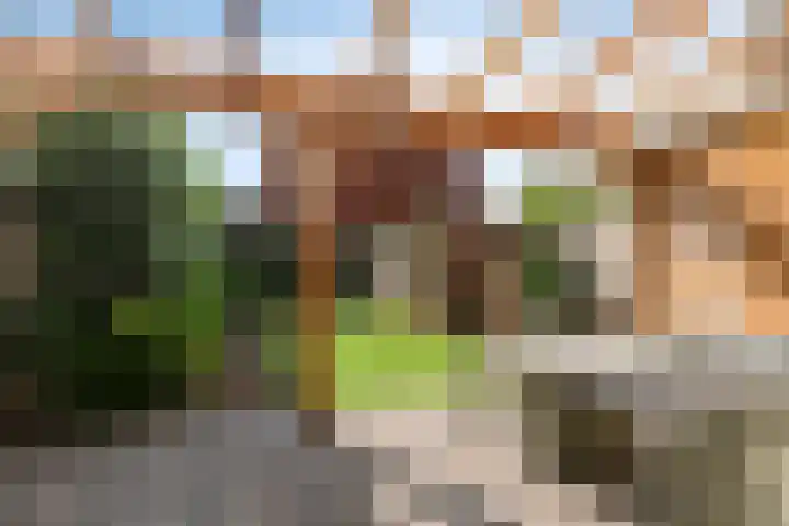 Marcelis Keldermanshof 8 Hoef en Haag thumbnail 32