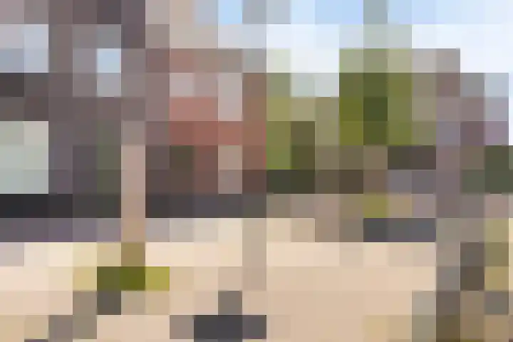 Marcelis Keldermanshof 8 Hoef en Haag thumbnail 37