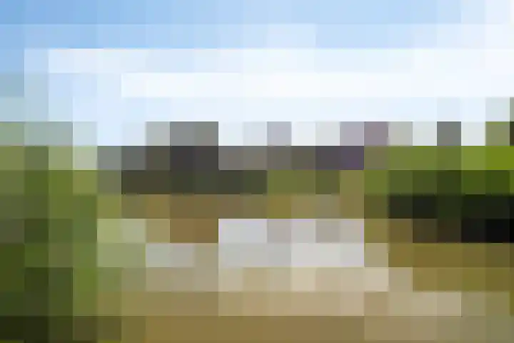 Marcelis Keldermanshof 8 Hoef en Haag thumbnail 39