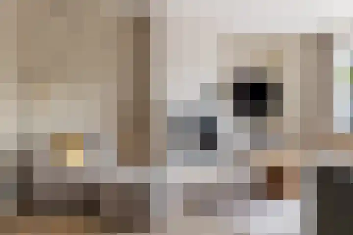 Marcelis Keldermansstraat 10 Hoef en Haag thumbnail 13