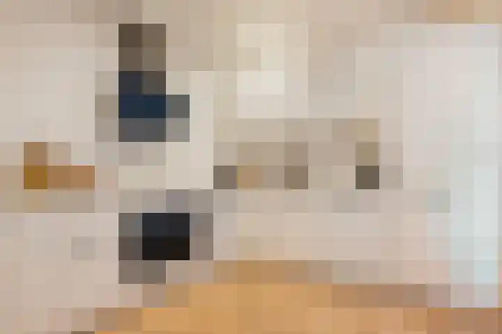 Marcelisstraat 102 Den Haag thumbnail 8