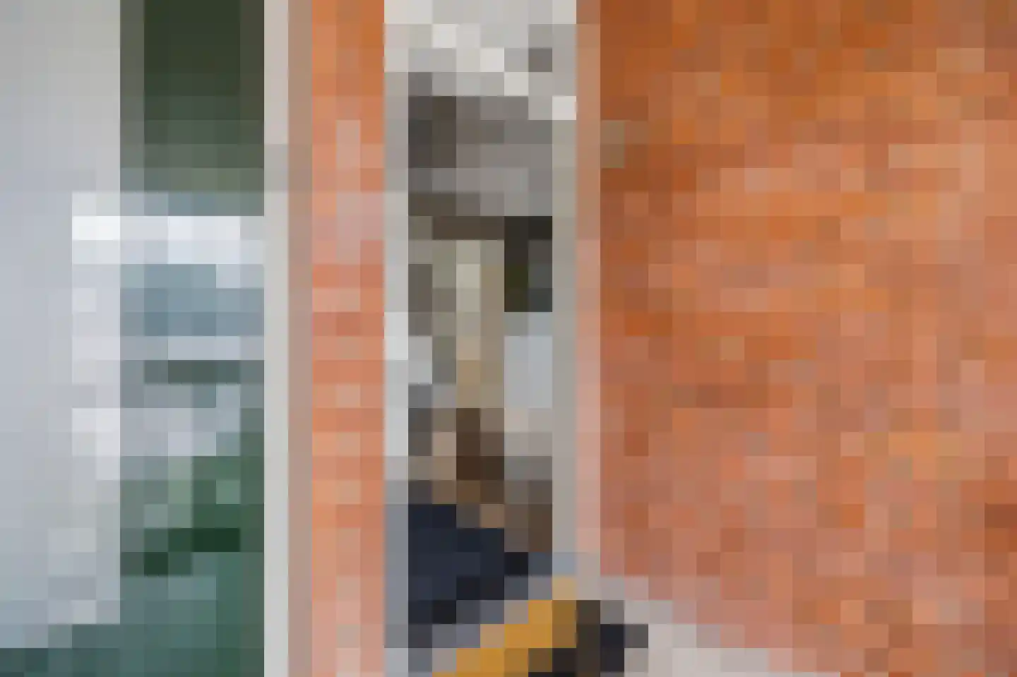 Marcelisstraat 106 Den Haag thumbnail 6