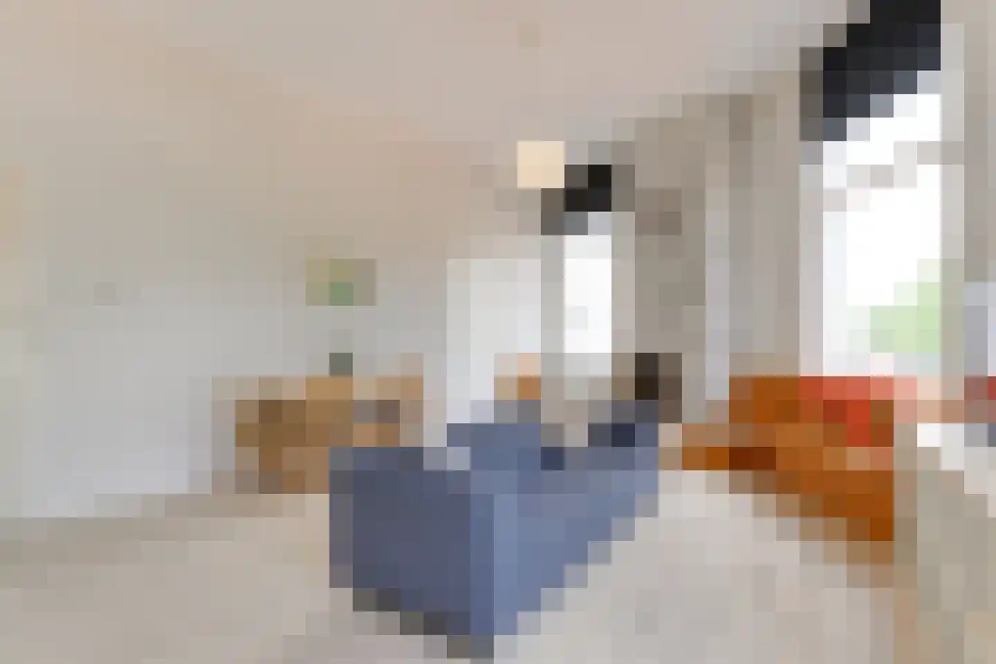 Marcelisstraat 259 Den Haag thumbnail 11