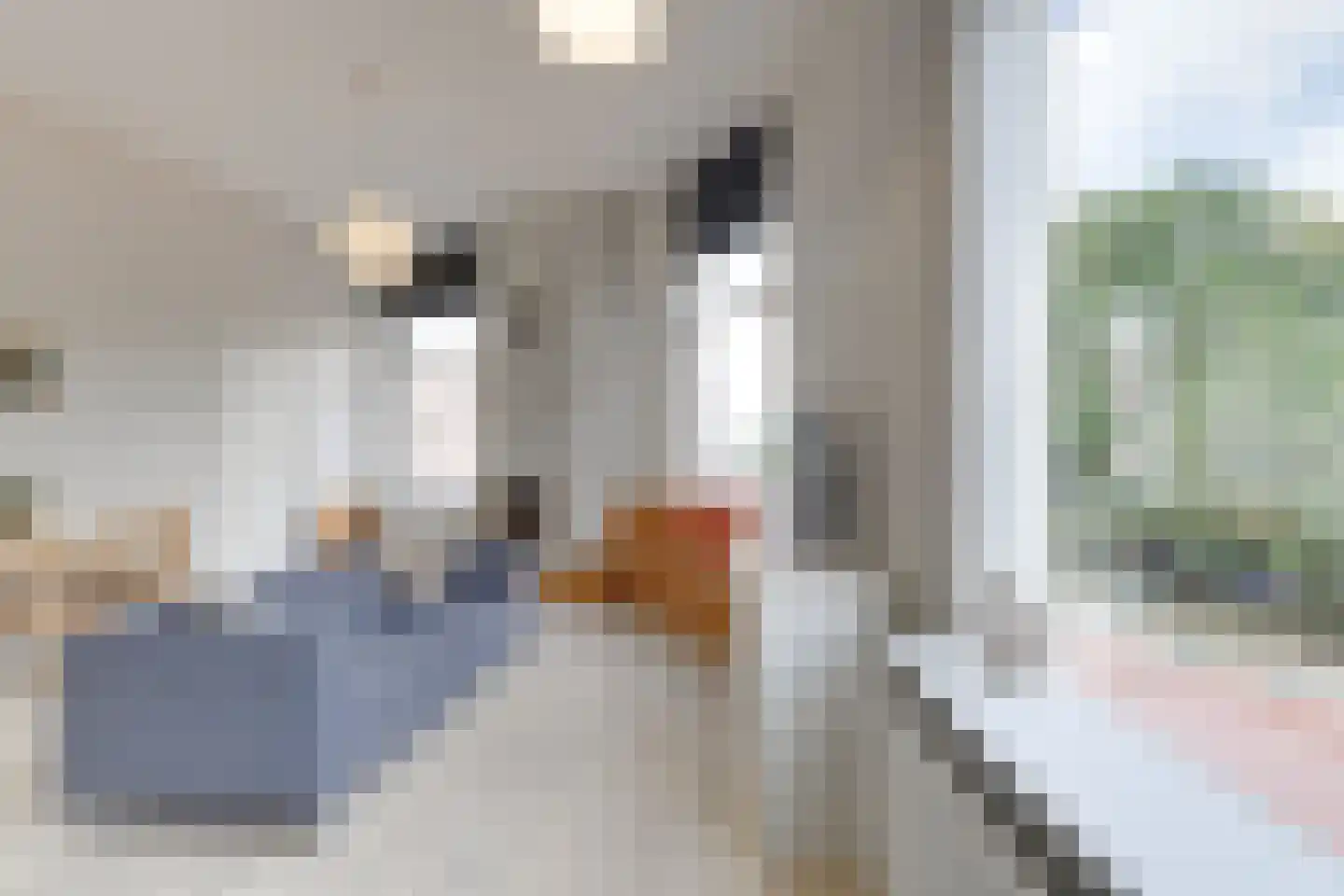 Marcelisstraat 259 Den Haag thumbnail 19