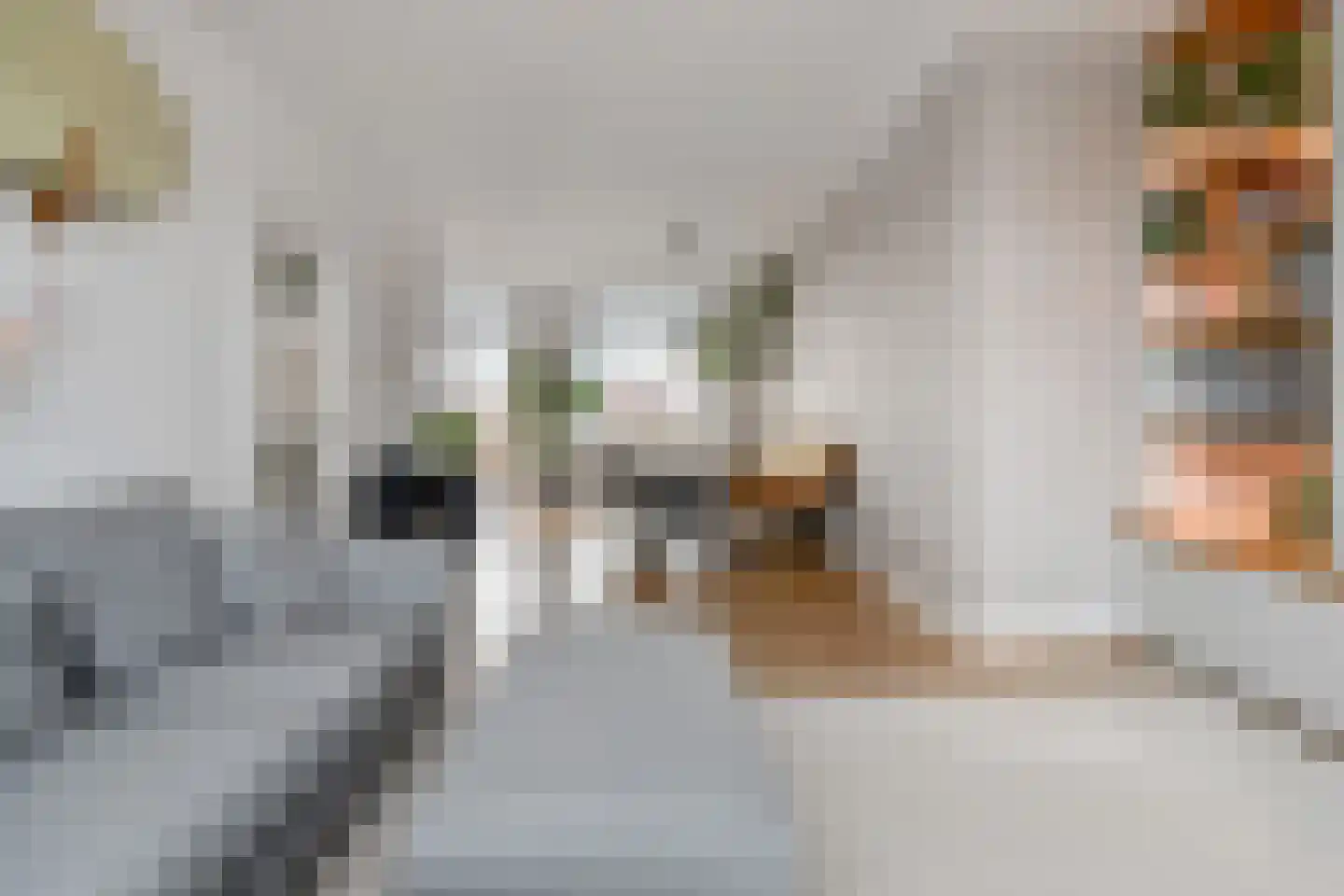 Marcelisstraat 33 Den Haag thumbnail 11