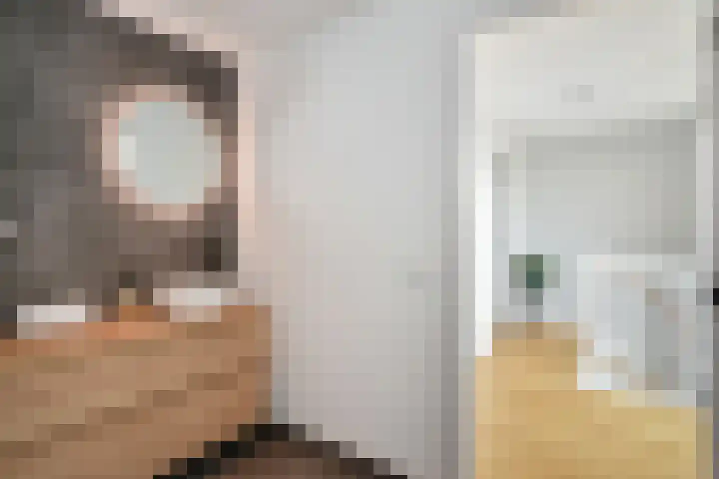 Marcelisstraat 33 Den Haag thumbnail 41