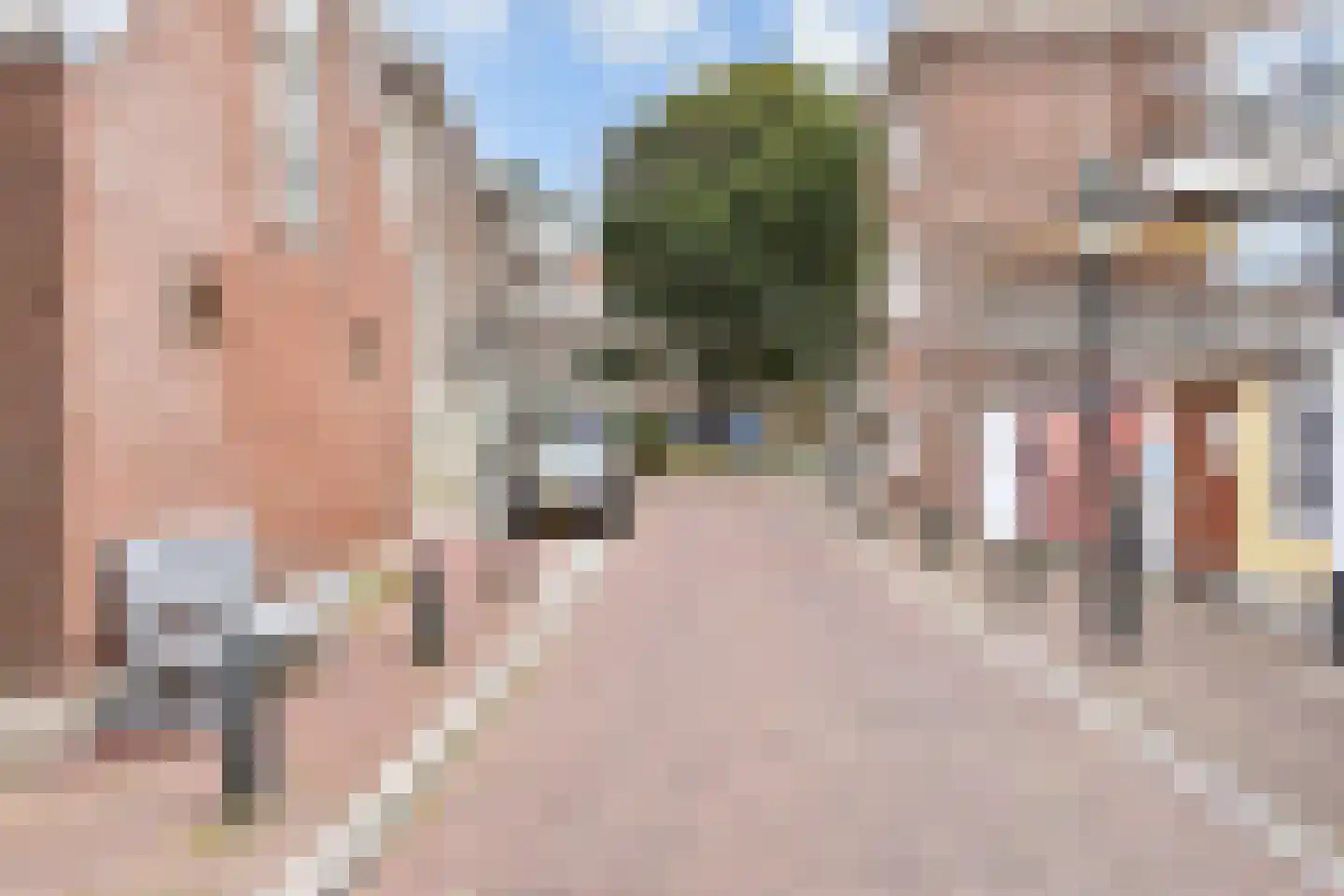 Marcelisstraat 33 Den Haag thumbnail 48